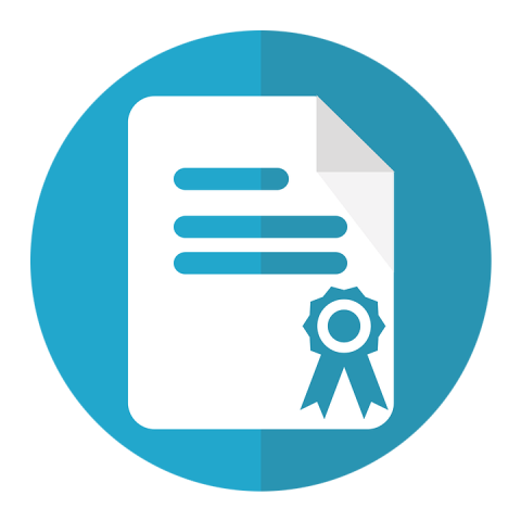 Certificate of Ranking and Qualification  Authenticating for IT Companies